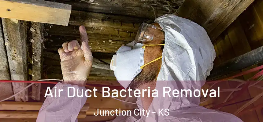  Air Duct Bacteria Removal Junction City - KS