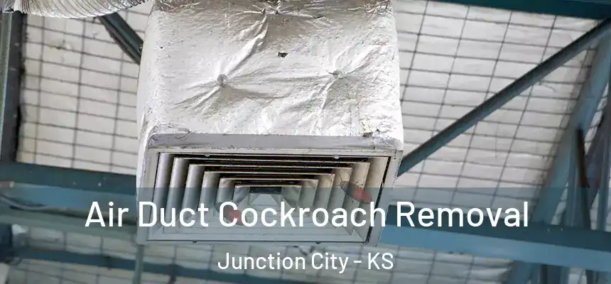  Air Duct Cockroach Removal Junction City - KS