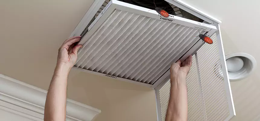 Our Insect Removal from Air Ducts Services in Junction City, KS