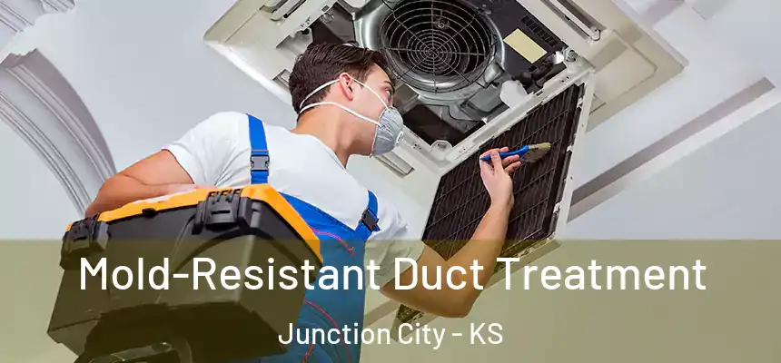 Mold-Resistant Duct Treatment Junction City - KS