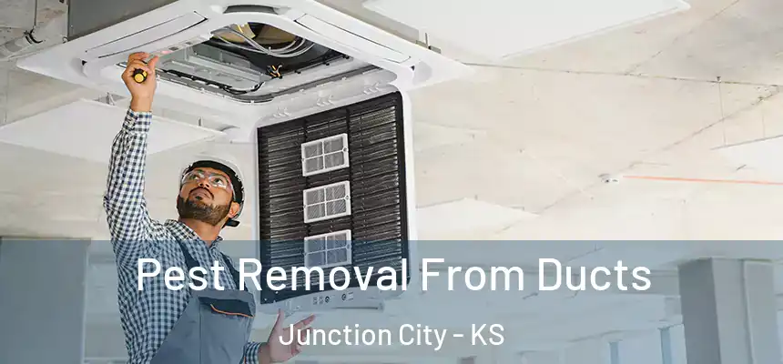  Pest Removal From Ducts Junction City - KS