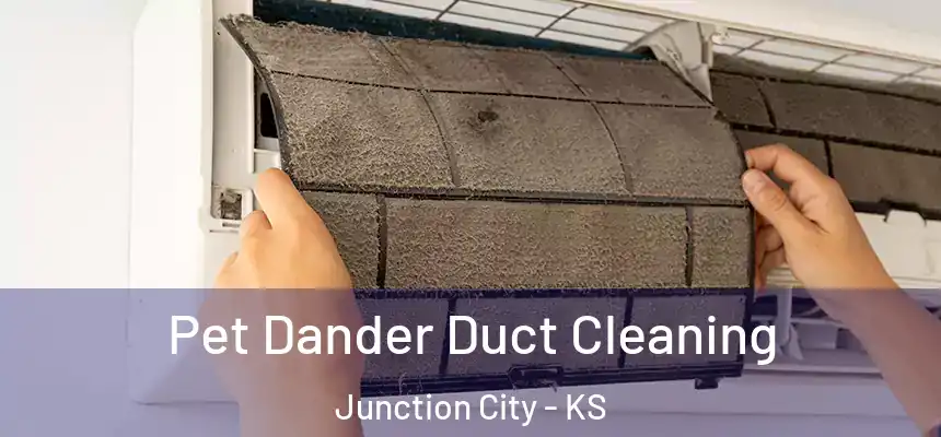  Pet Dander Duct Cleaning Junction City - KS