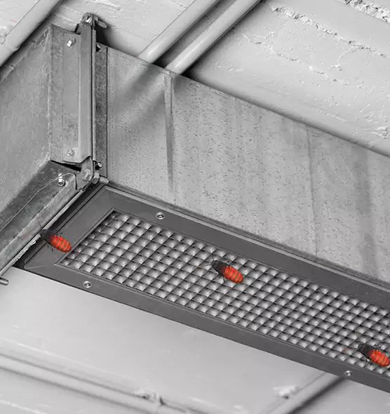 About Air Duct Cockroach Removal in Junction City, KS