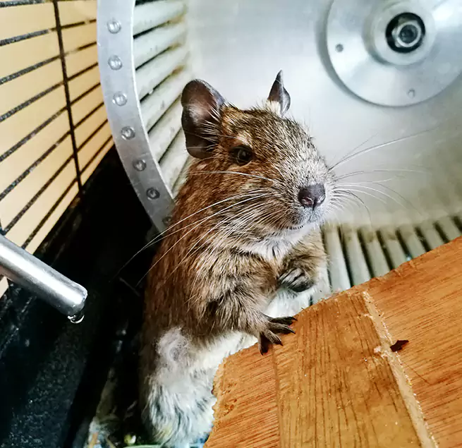 Why Homeowners & Businesses Trust Us Junction City, KS