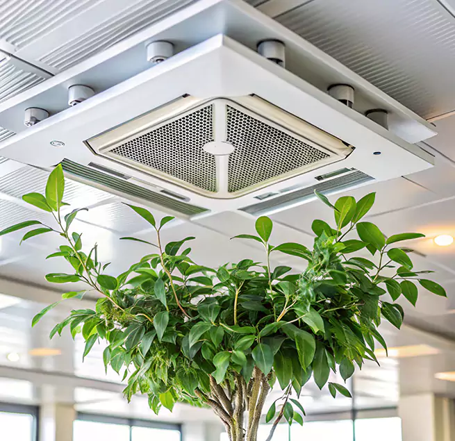 Why Homeowners & Businesses Trust Us in Junction City, KS